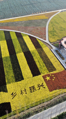 產(chǎn)業(yè)發(fā)展